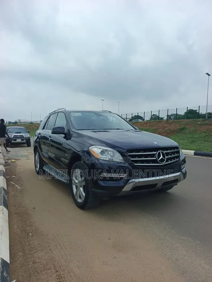 Mercedes-Benz M Class 2010 Black