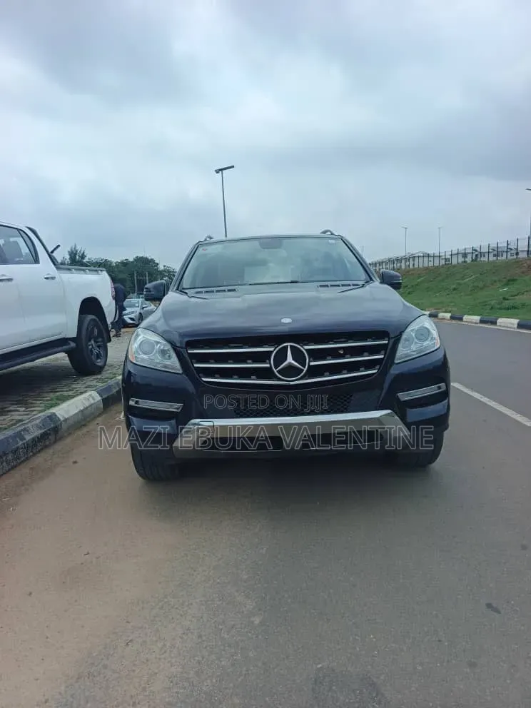 Mercedes-Benz M Class 2010 Black