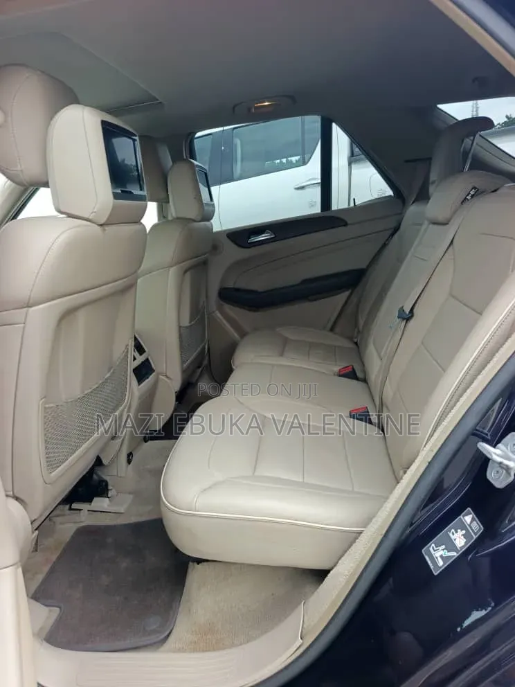 Mercedes-Benz M Class 2010 Black