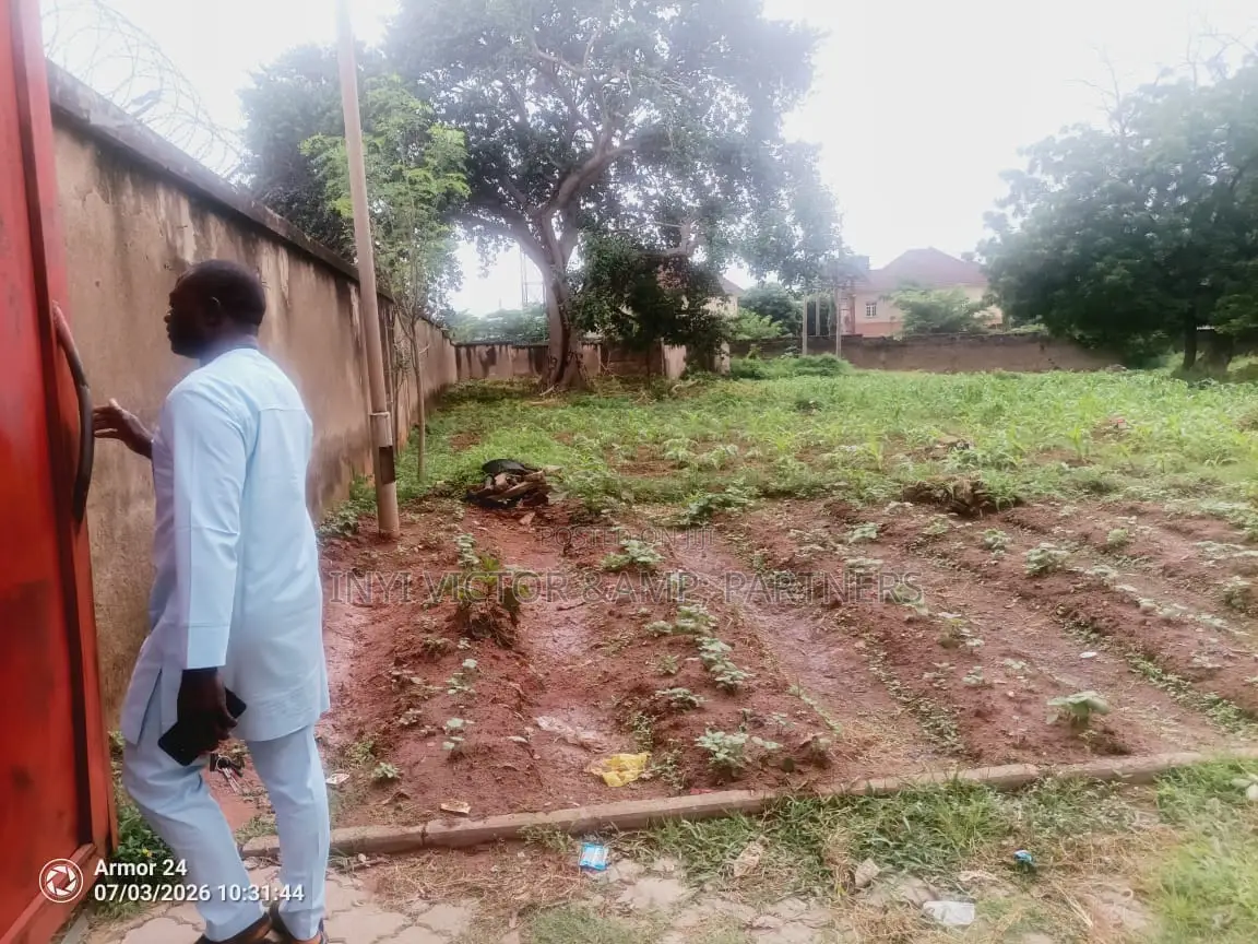 Land and Building