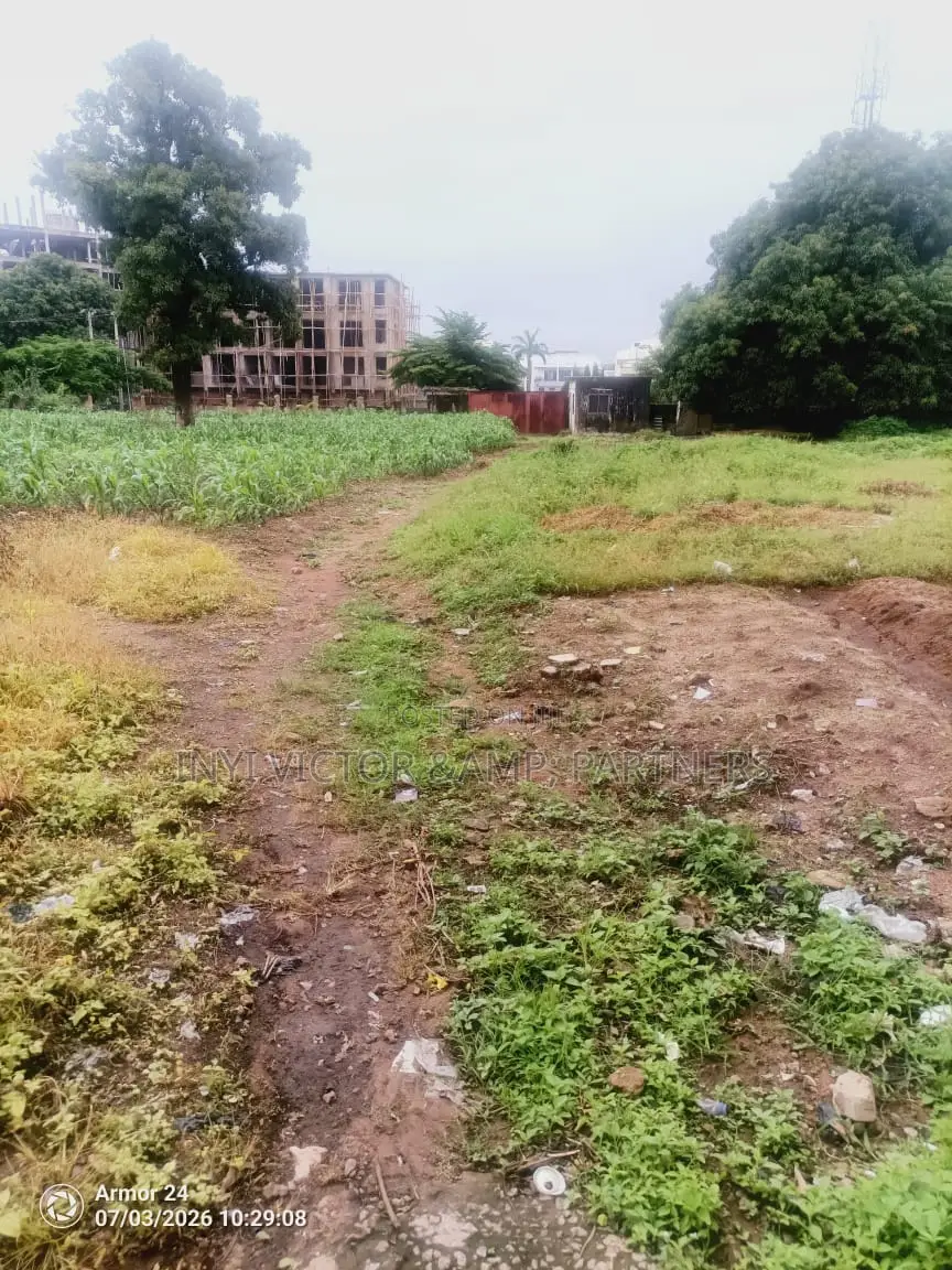 Land and Building