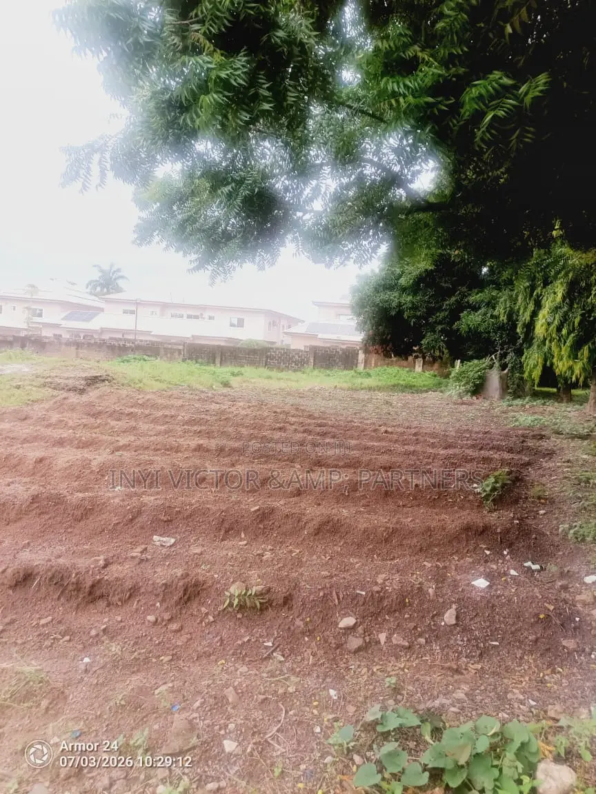 Land and Building