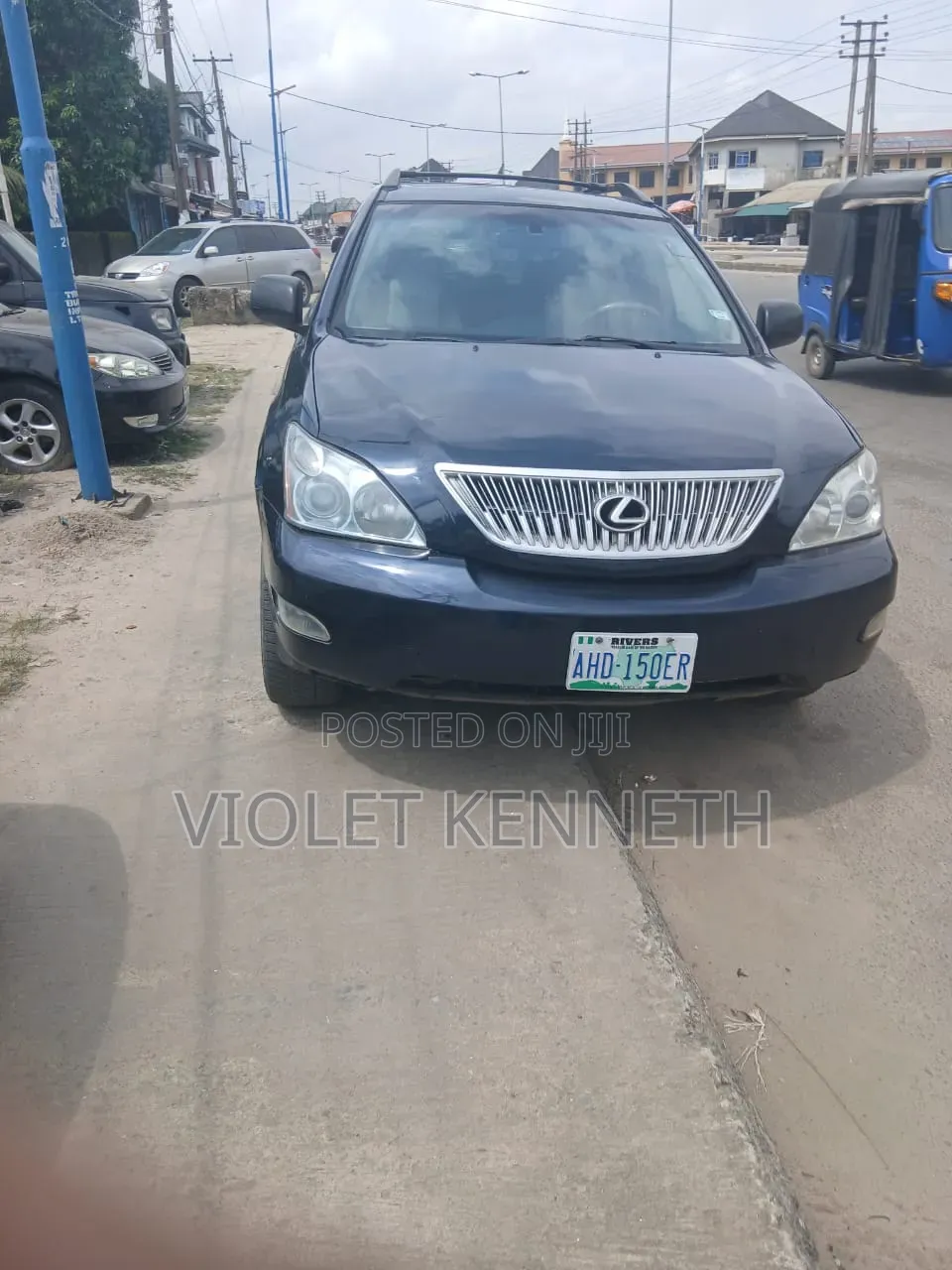 Lexus RX 2010 Blue