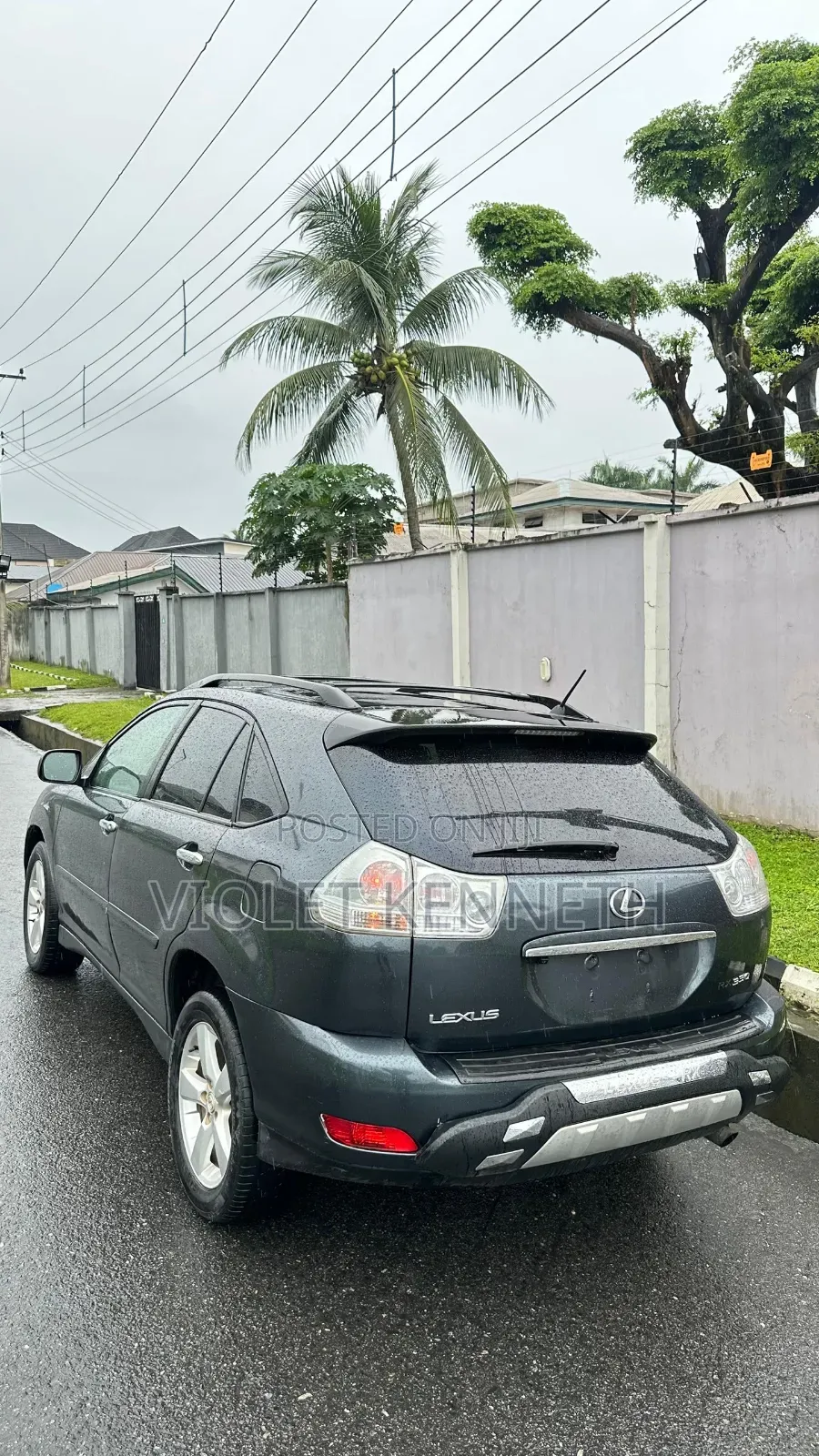 Lexus RX 2010 Blue