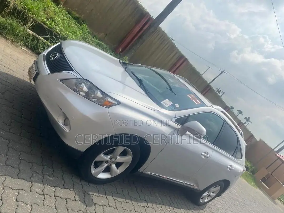 Lexus RX 2010 Silver