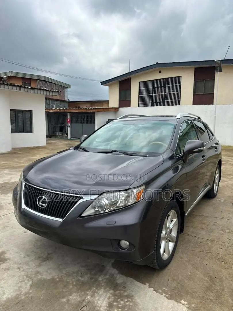 Lexus RX 2010 Gray