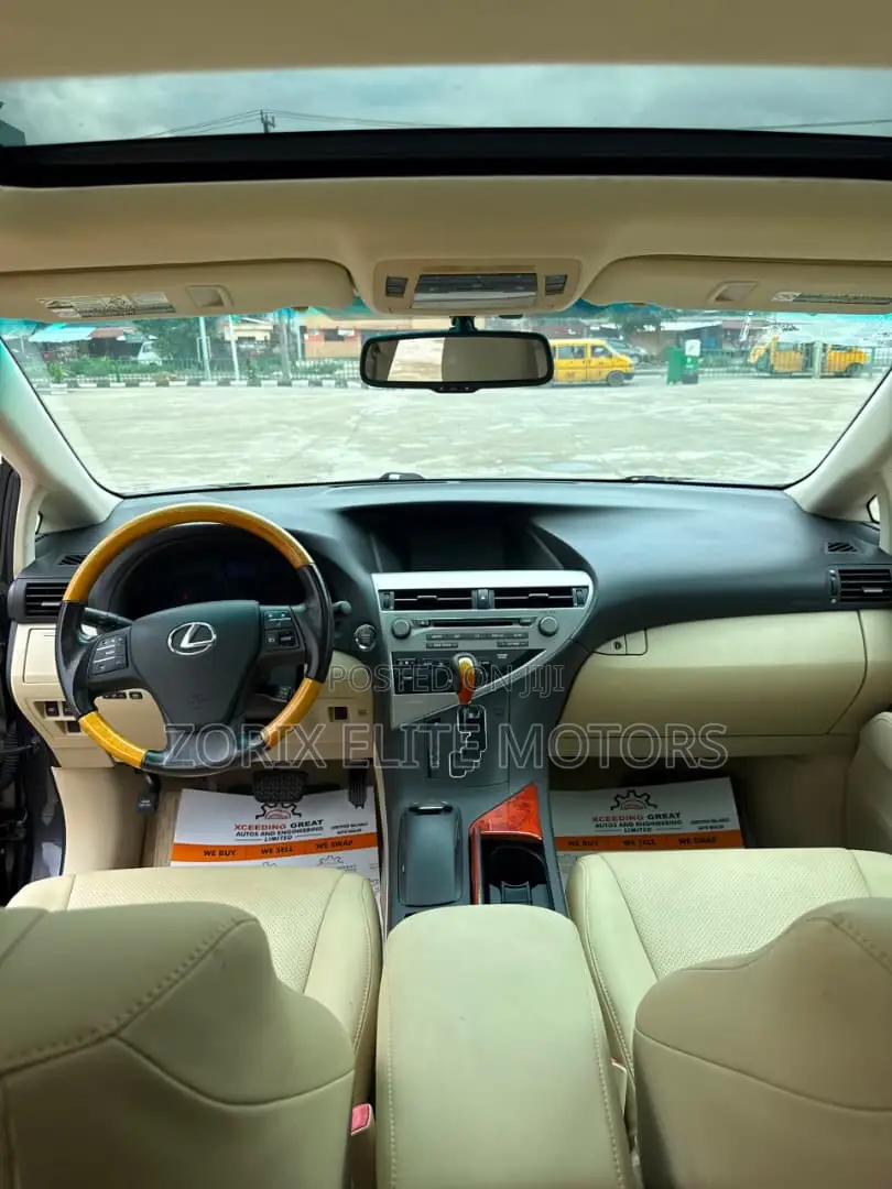 Lexus RX 2010 Gray