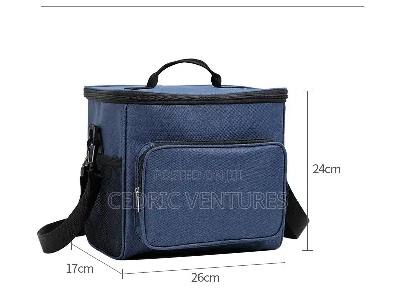 Portable Insulated Lunch Bag