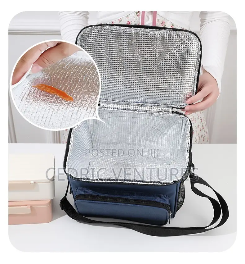 Portable Insulated Lunch Bag