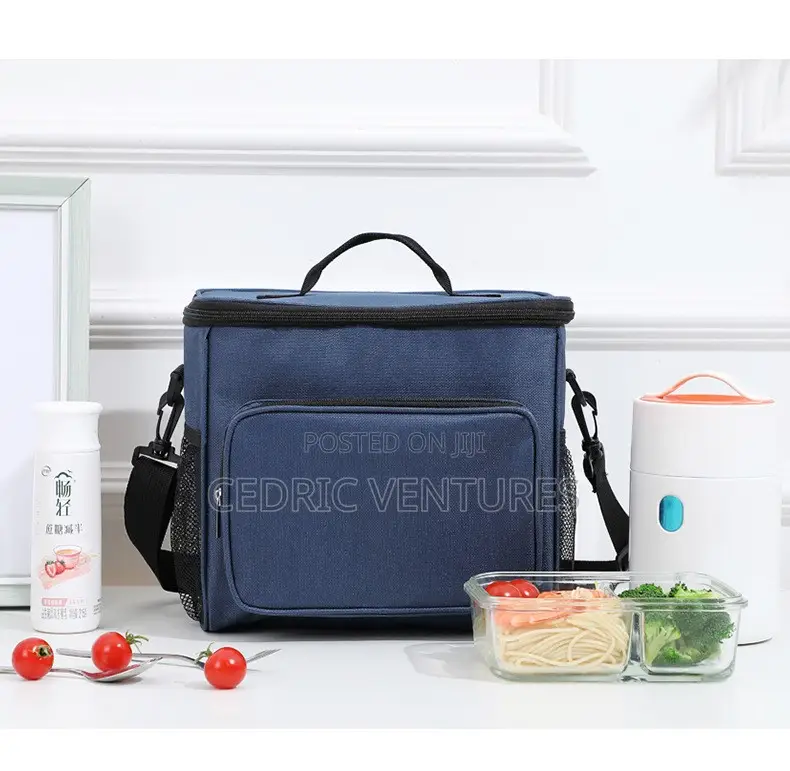Portable Insulated Lunch Bag
