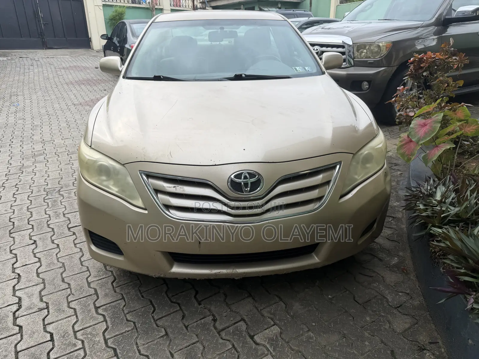 Toyota Camry LE 4dr Sedan (2.5L 4cyl 6AM) 2010 Gold