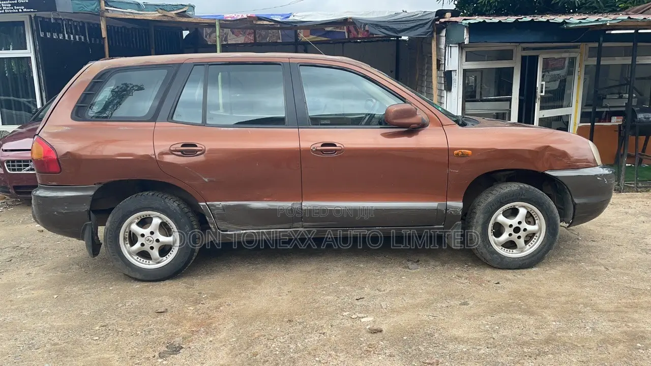 Hyundai Santa Fe 2.4 4WD 2006 Brown