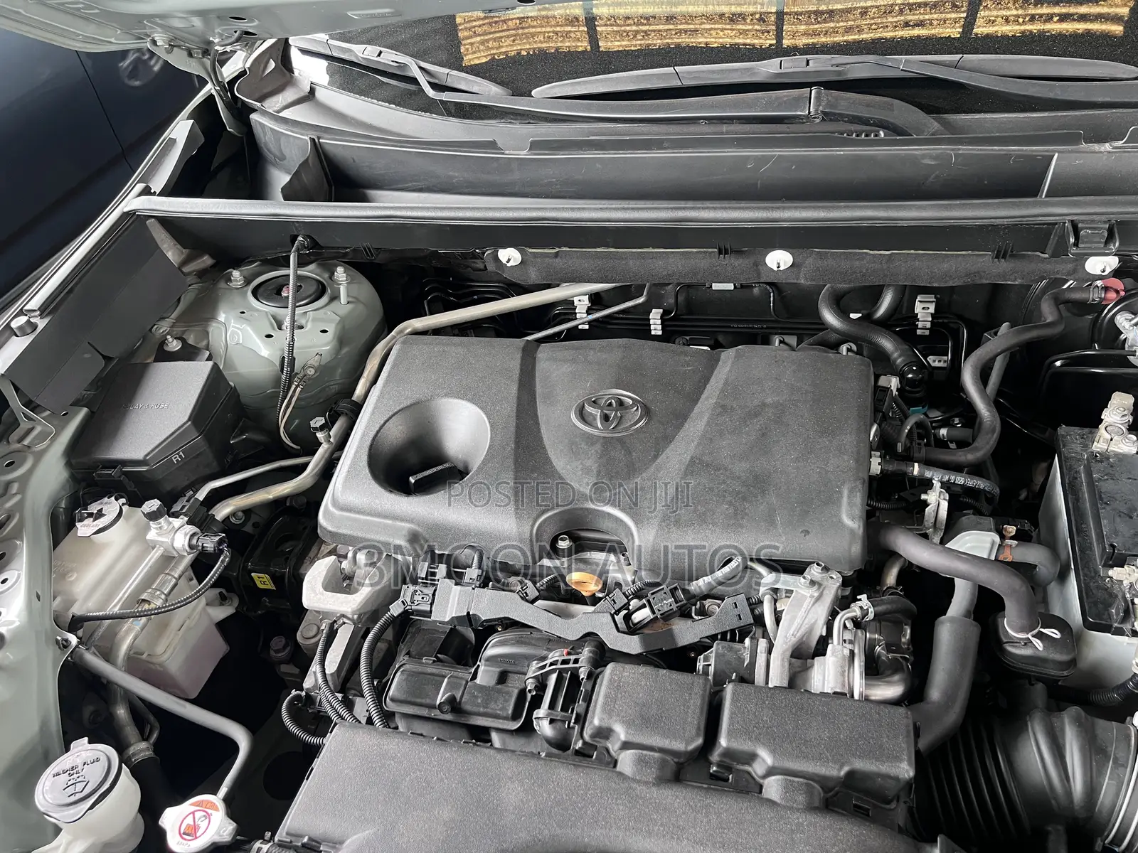 Toyota RAV4 Limited AWD 2020 Green
