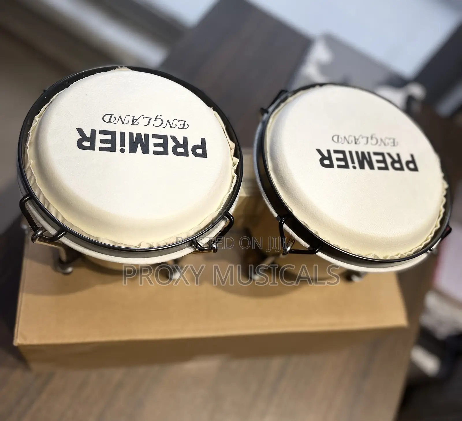 Premier Bongo Drum With Stand