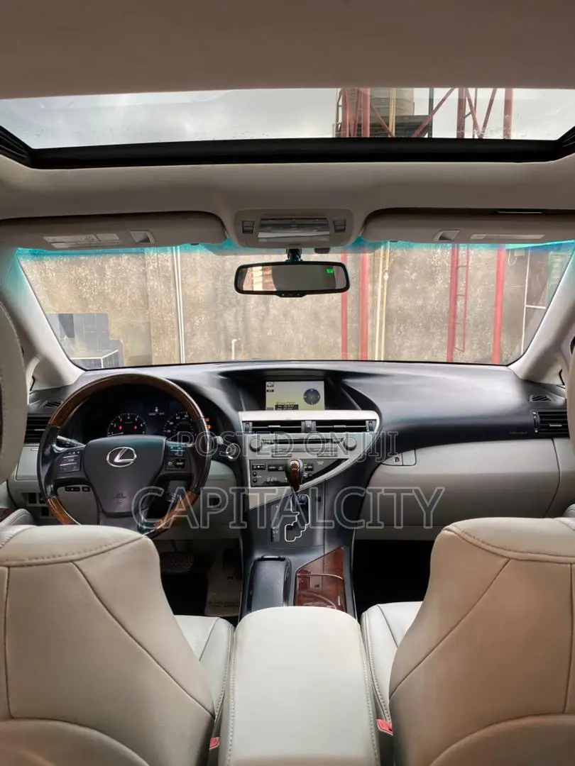 Lexus RX 350 2010 Gray