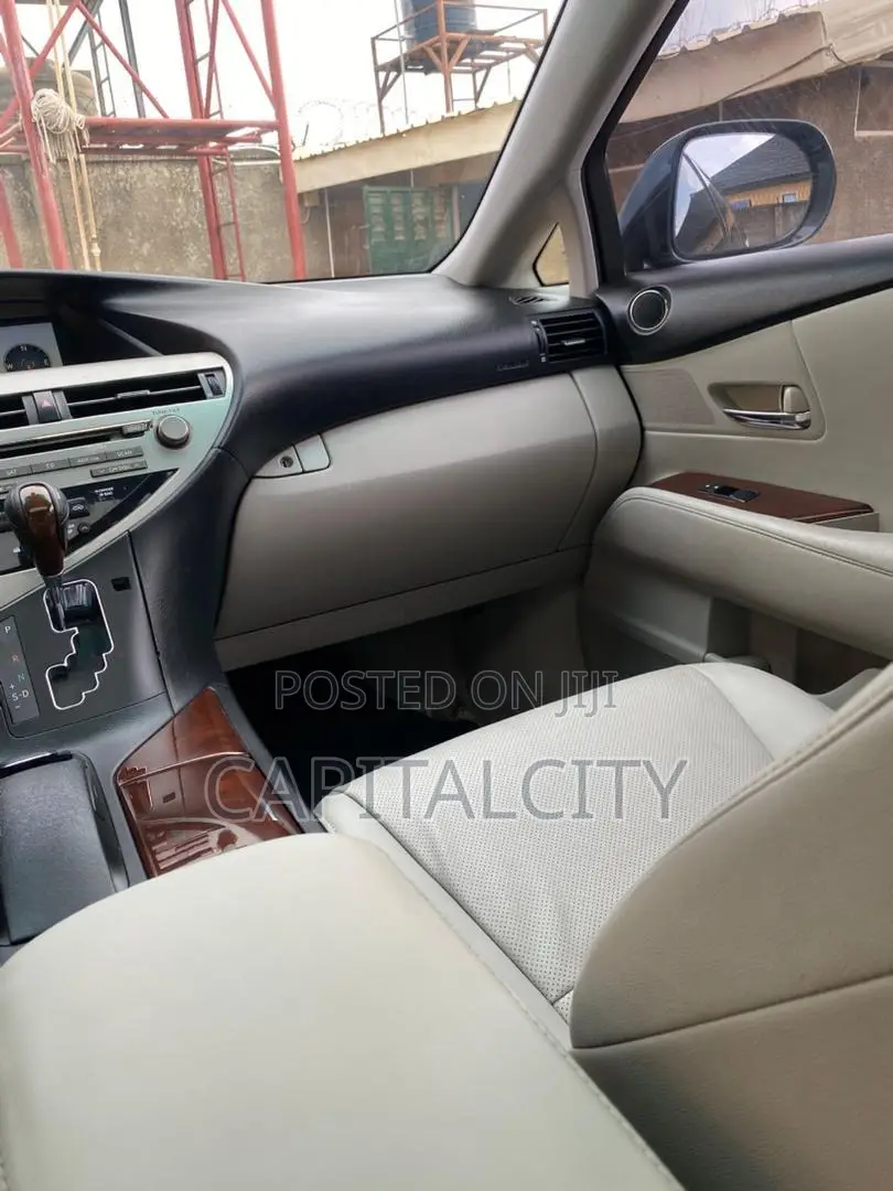 Lexus RX 350 2010 Gray