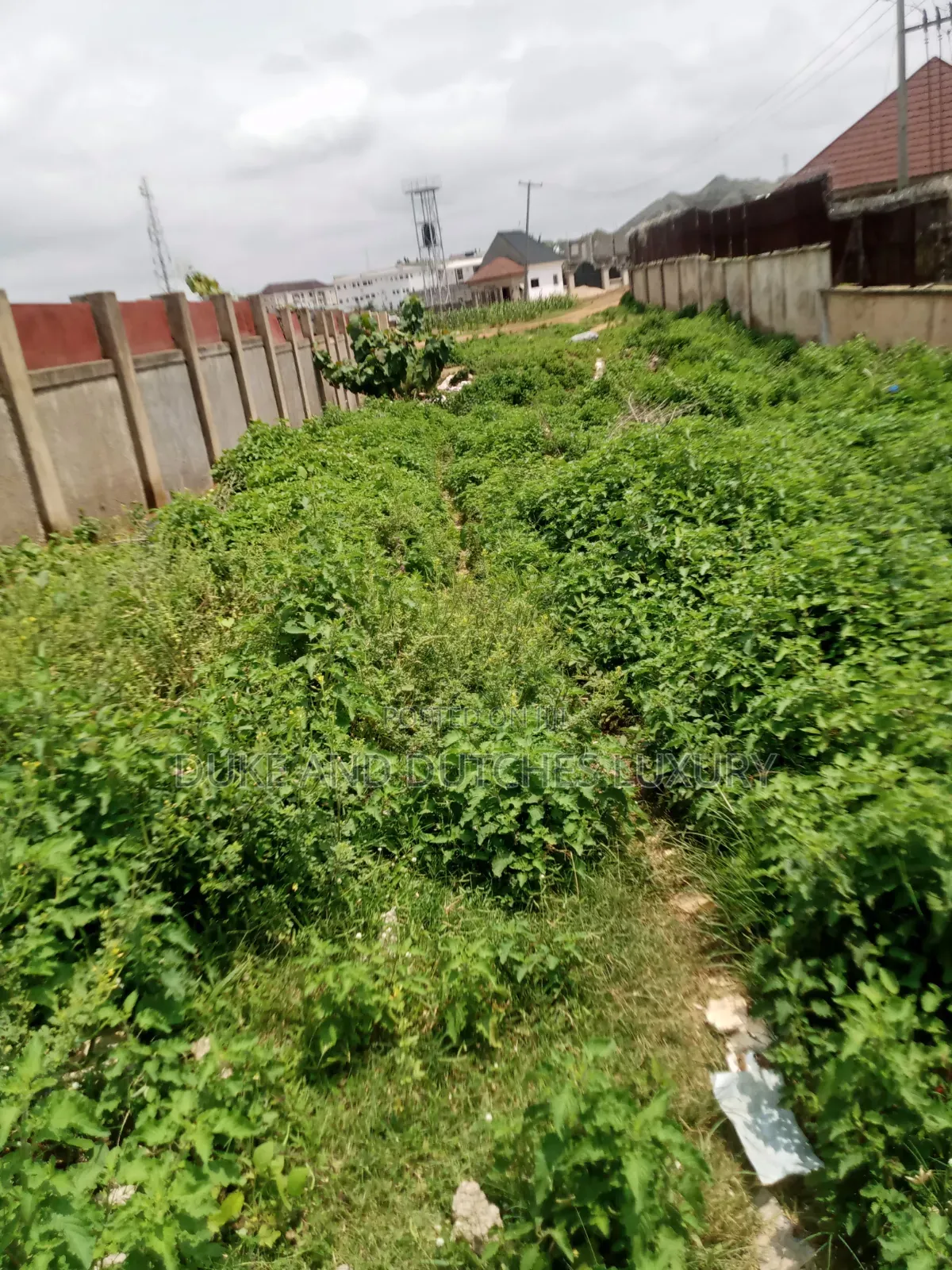 Land and Plots