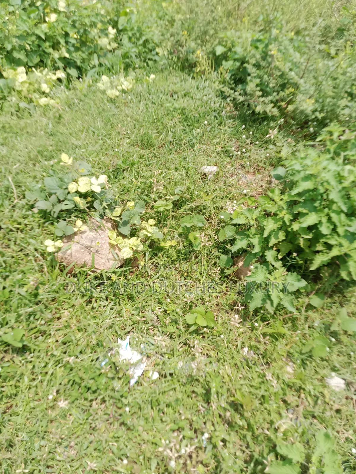 Land and Plots