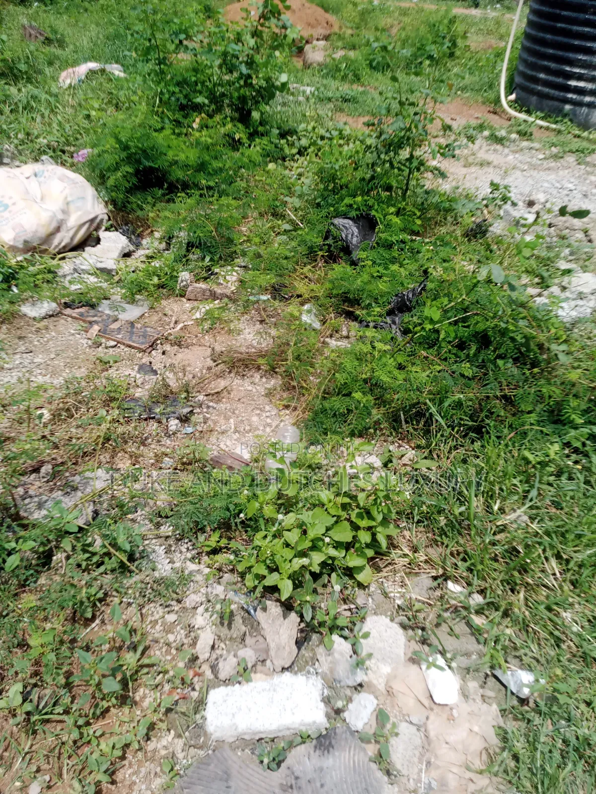 Land and Plots