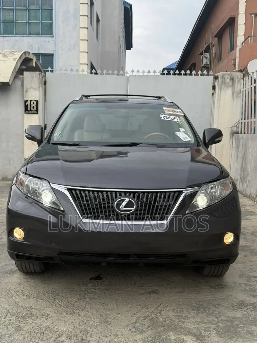 Lexus RX 350 2010 Gray