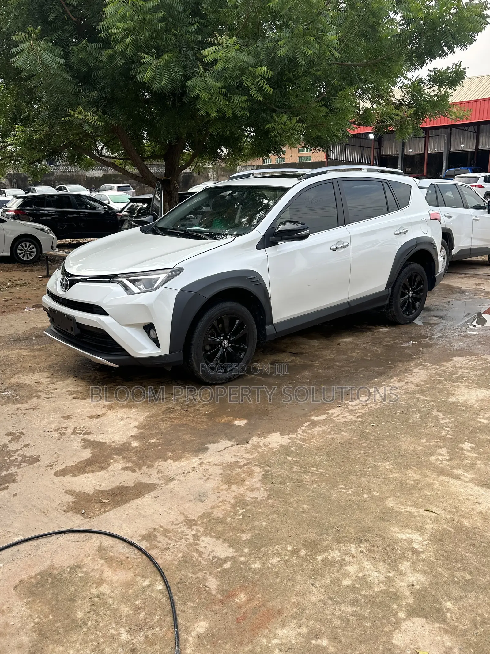 Toyota RAV4 2019 White