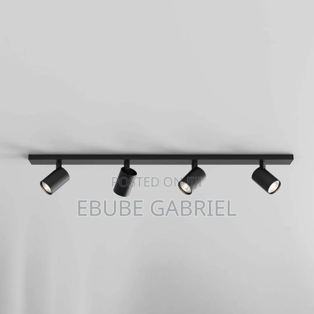 Track Lights and Magnetic Track Lights