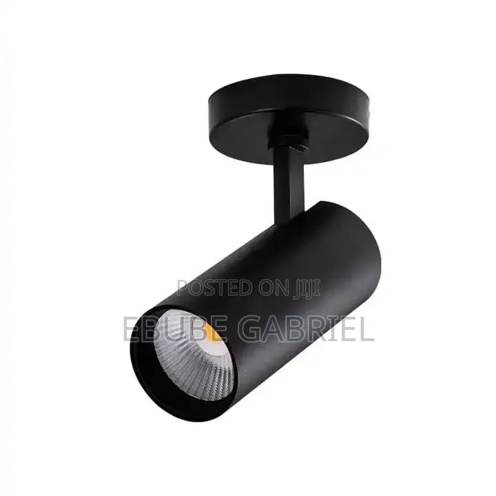 Track Lights and Magnetic Track Lights