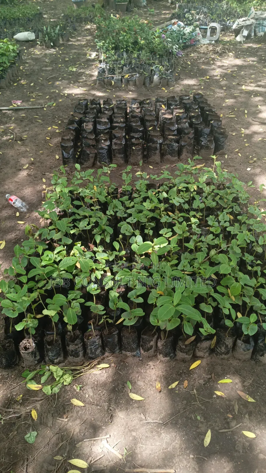 Gardening Services