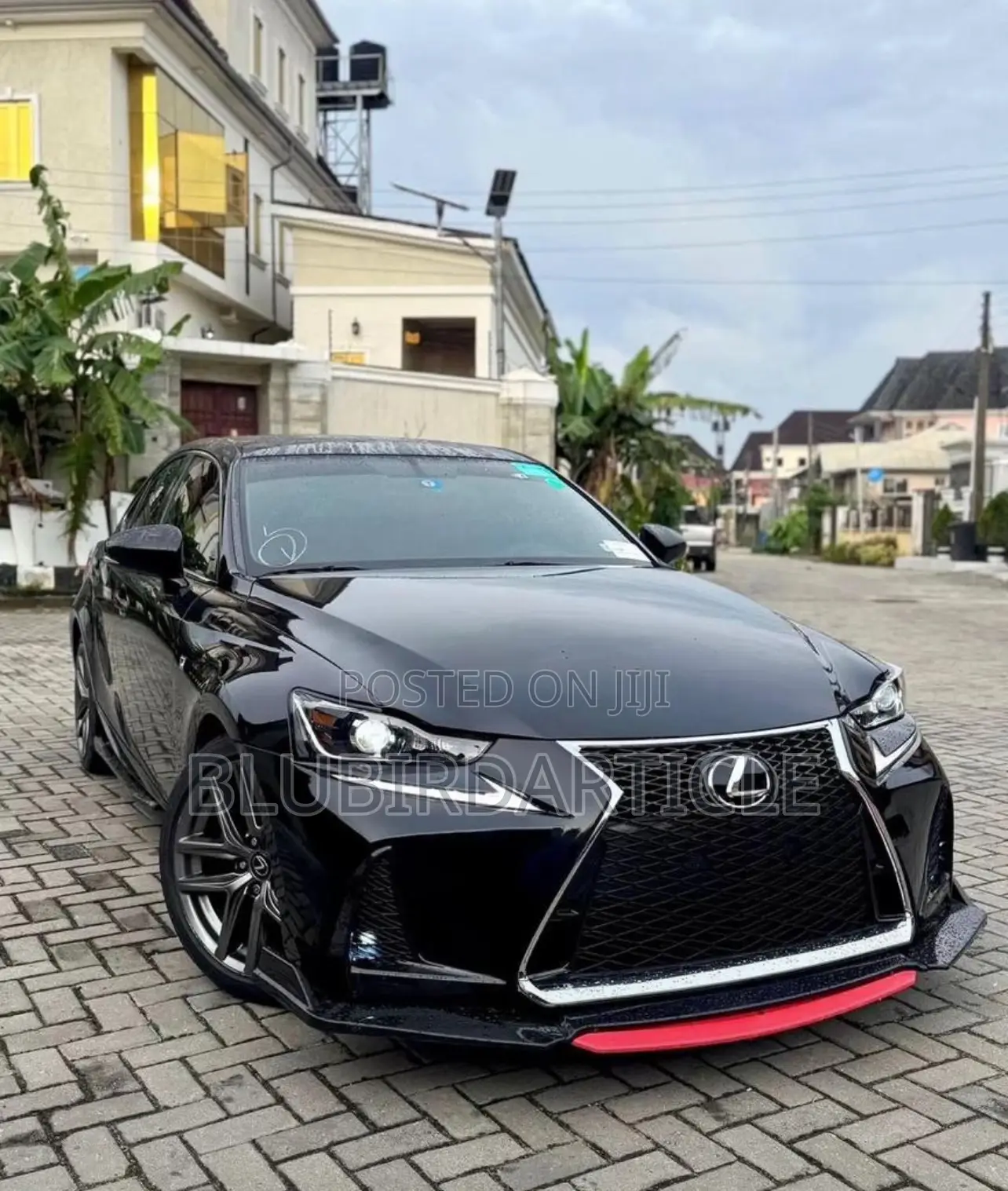 Bumper Lip and Side Abs