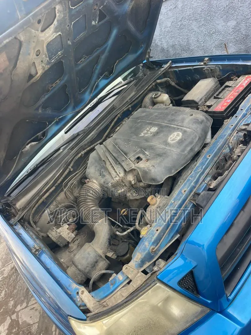 Toyota Tacoma 2010 Blue