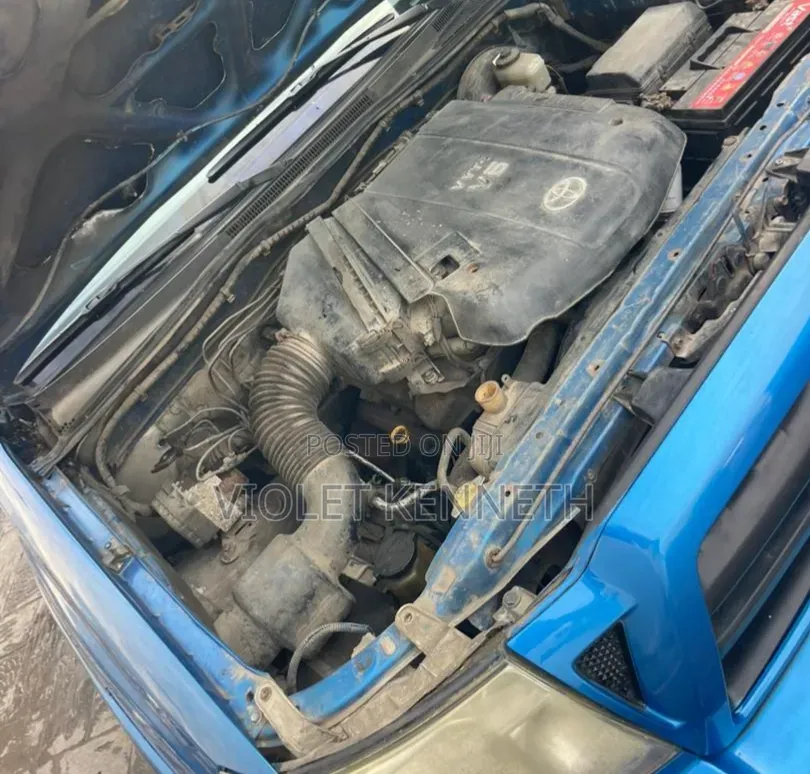 Toyota Tacoma 2010 Blue