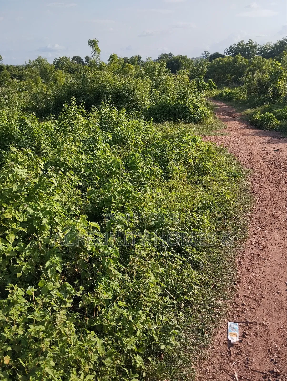 8 Acres for Sale Behind Iseyin College of Health, Iseyin Oyo Exp Way