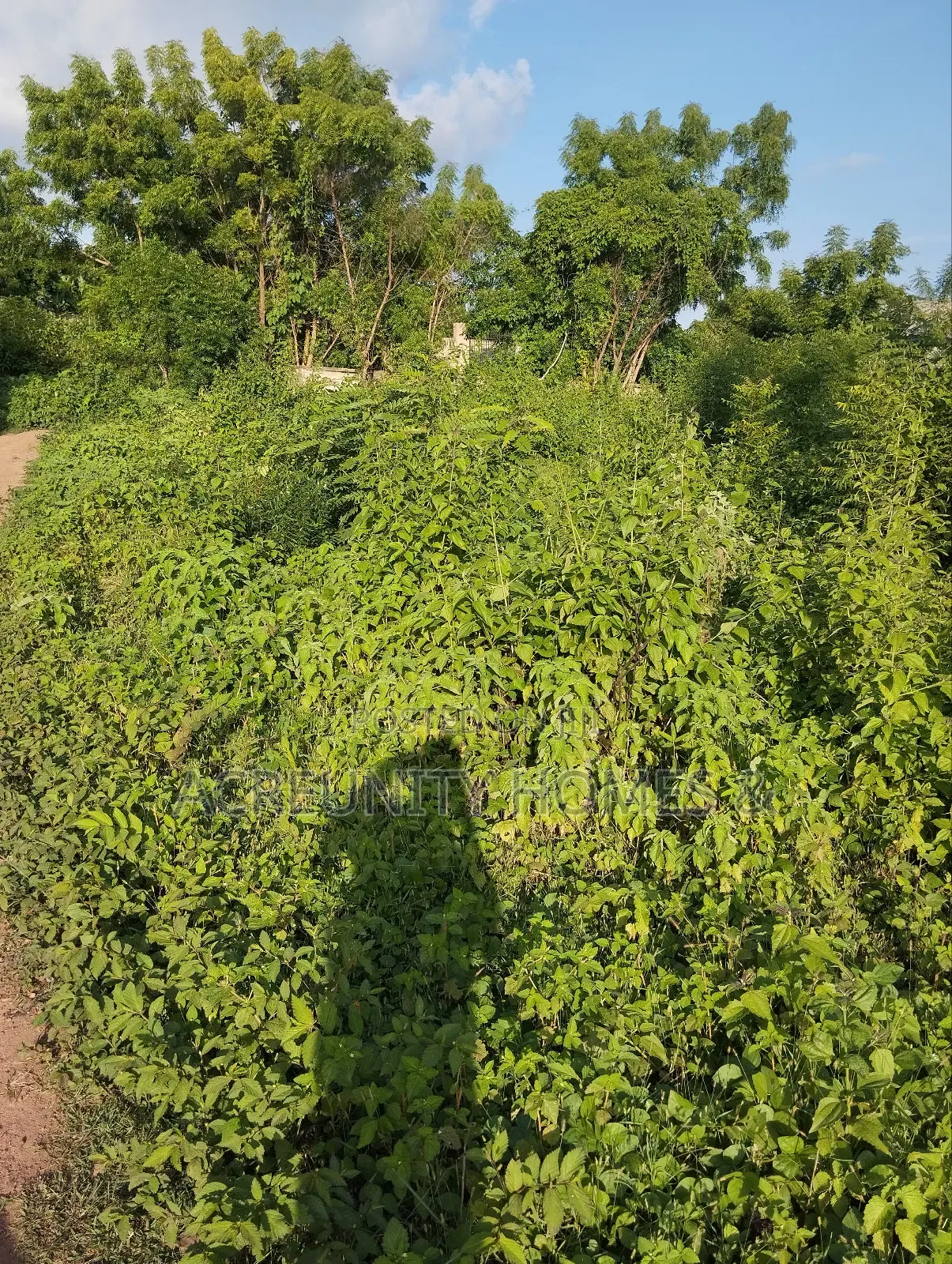 8 Acres for Sale Behind Iseyin College of Health, Iseyin Oyo Exp Way