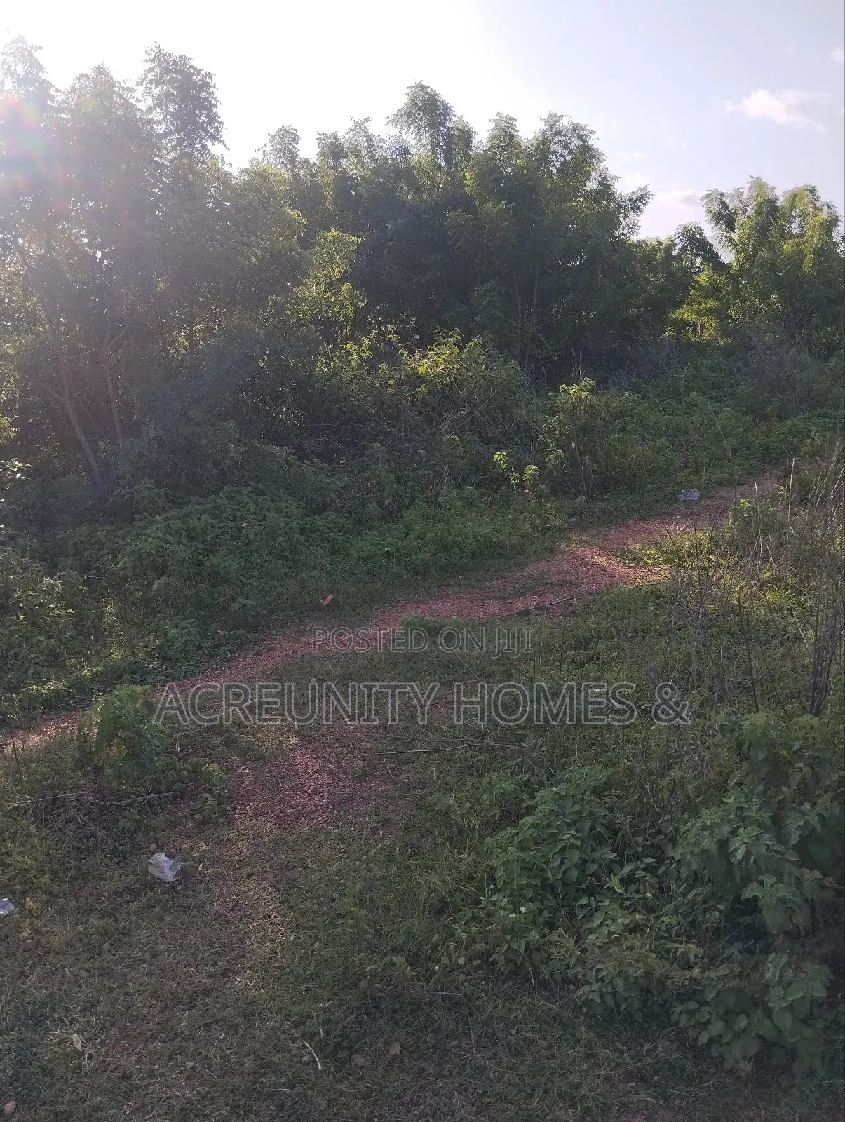 2000 Acres of Fertile Farmland Along Ilero–Iganna Road, Oyo State