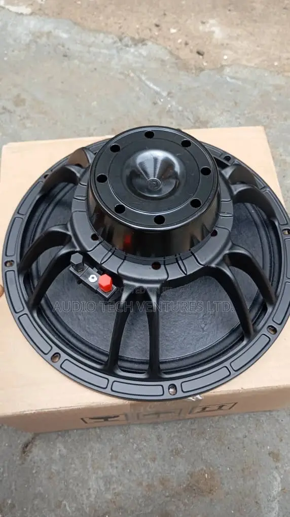 12 Inches Naked Speaker Big Magnet