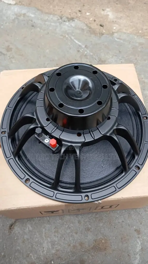 12 Inches Naked Speaker Big Magnet