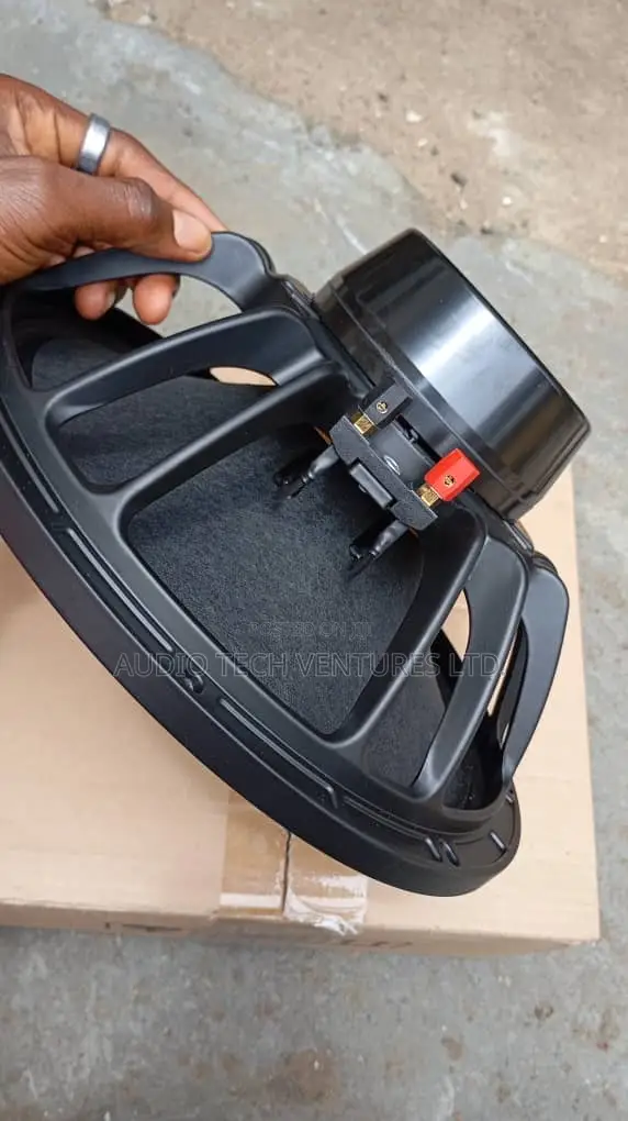 12 Inches Naked Speaker Big Magnet