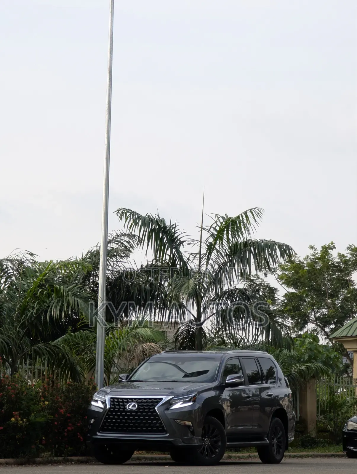 Lexus GX 2024 Gray
