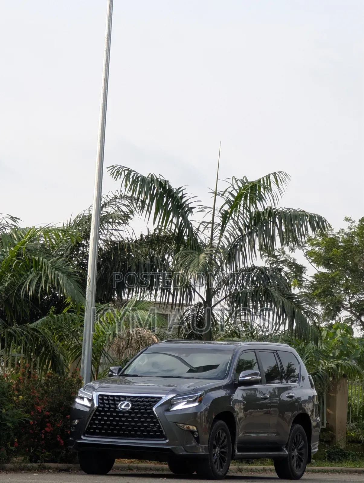 Lexus GX 2024 Gray