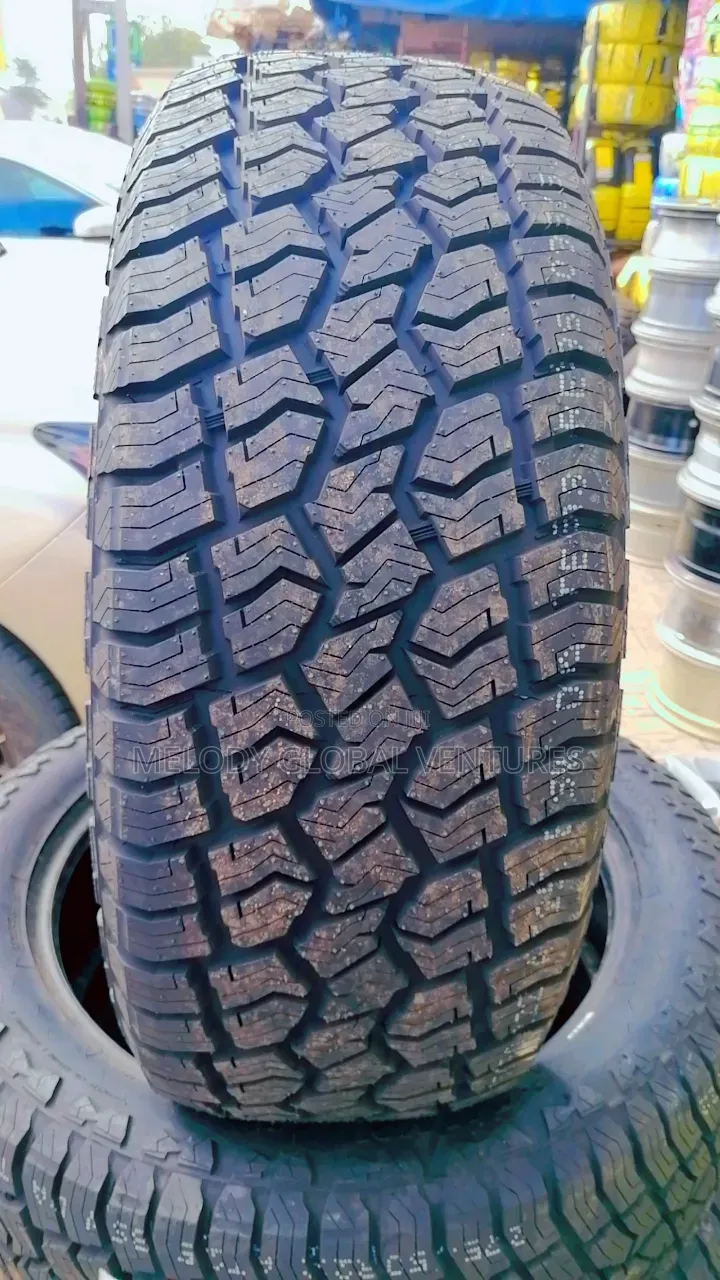 Original High Quality Tires/275/50r22 Sailun Tyres/Escalate Infinity