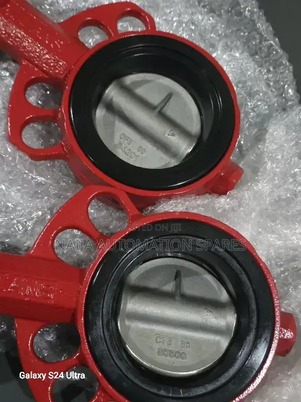 Wafer Butterfly Valve Dn80 Bray