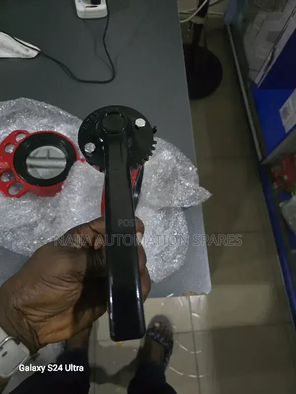 Wafer Butterfly Valve Dn80 Bray