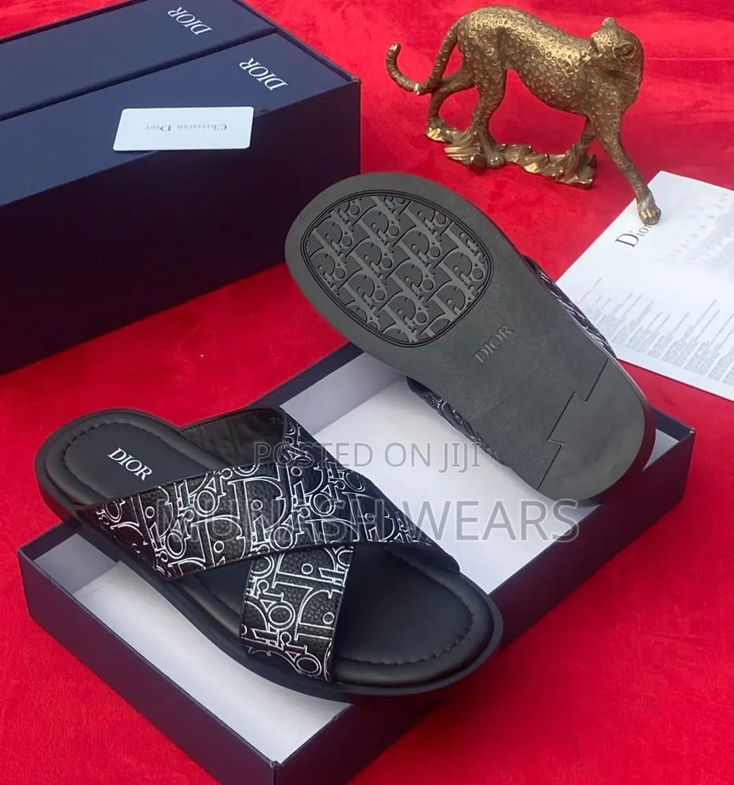 Dior Print Leather Slipers 40-46 Available in Blue and Black