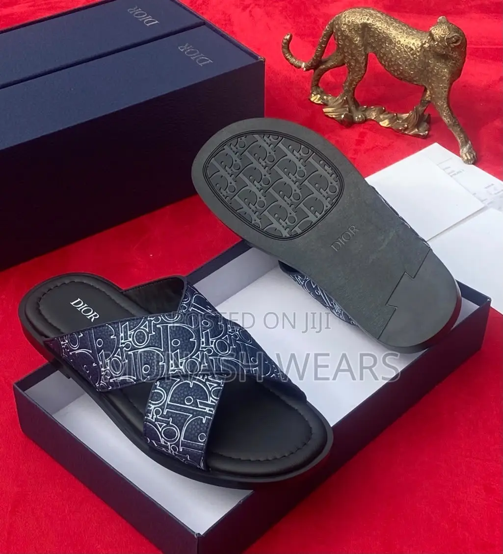 Dior Print Leather Slipers 40-46 Available in Blue and Black
