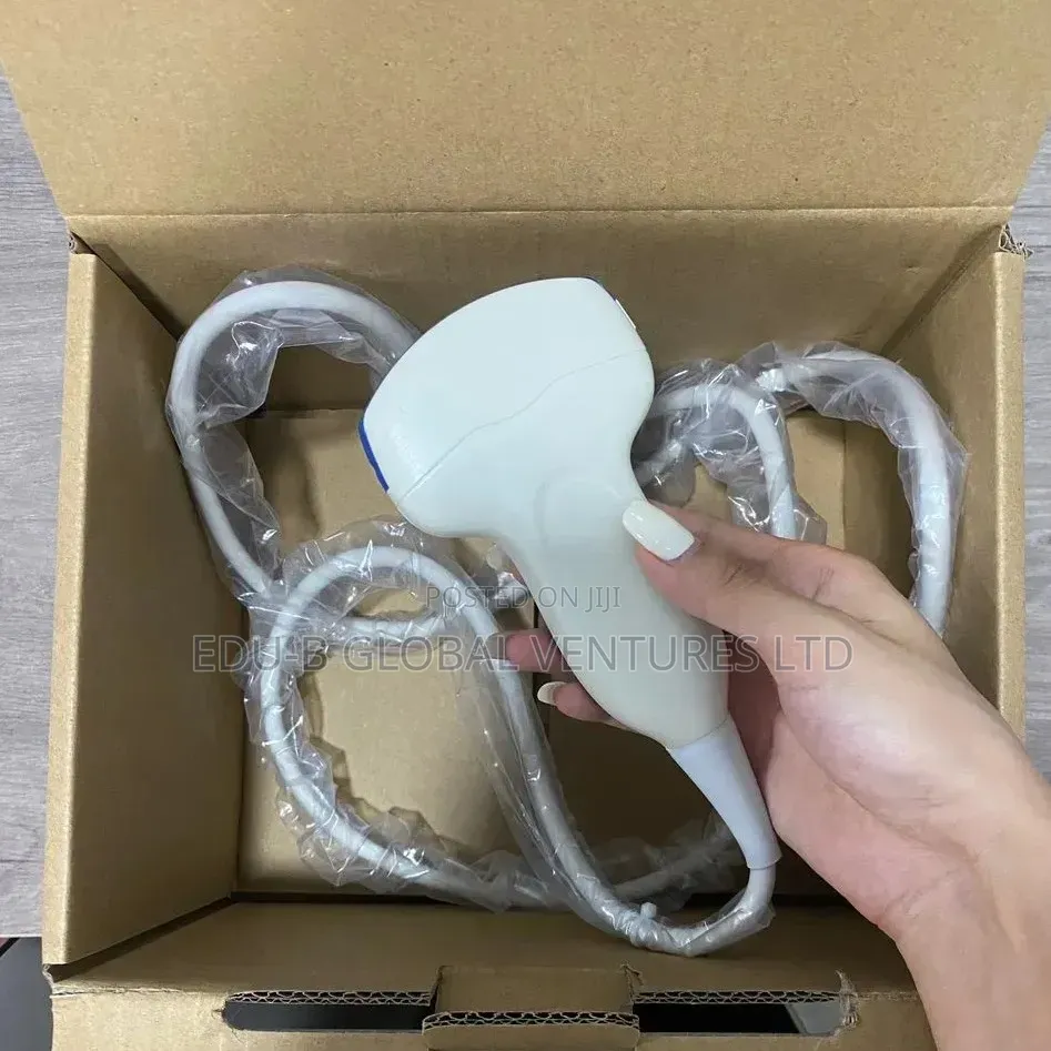 Convex Probe (Ultrasound Probe )