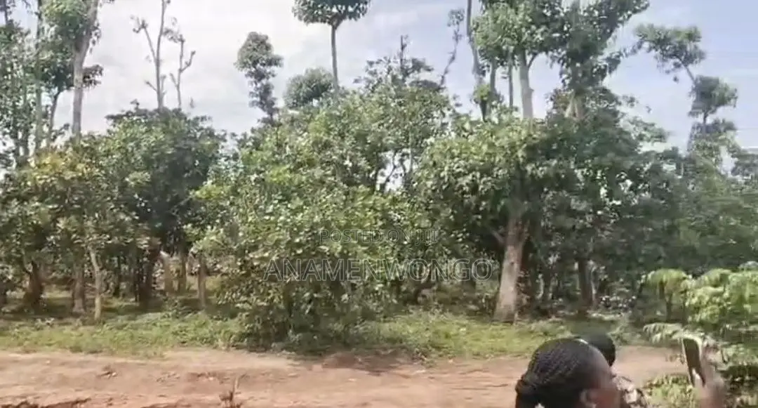 Fast Roi 500sqm Guzape 2 Lands | Fcda Approved