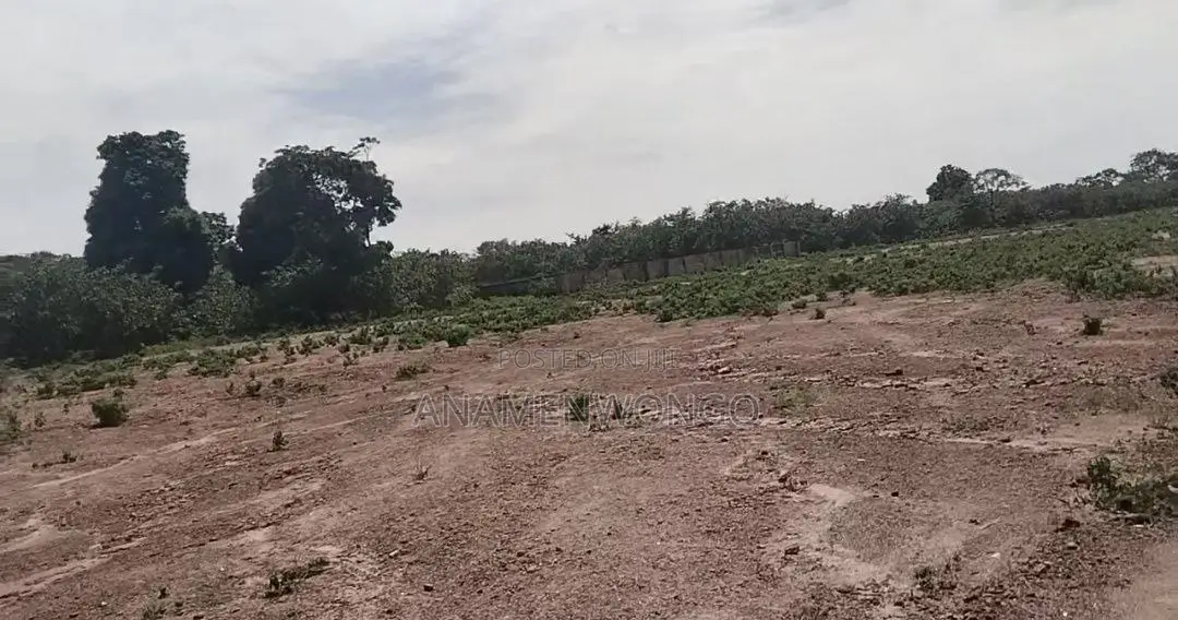 Livable and Fcda Approved 750sqm Estate Land in Guzape Main