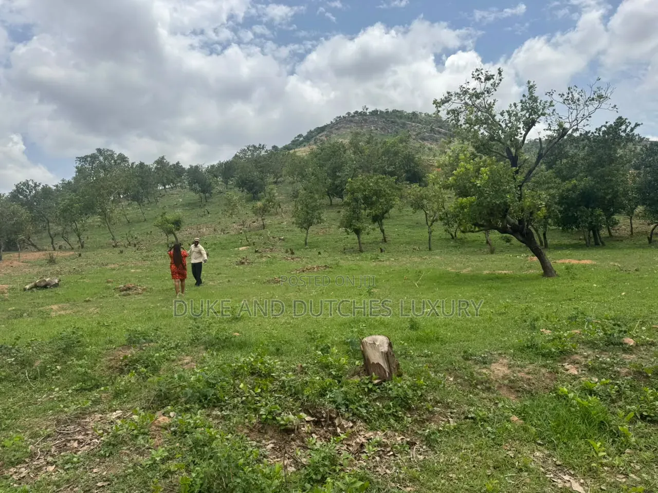 Land and Plots