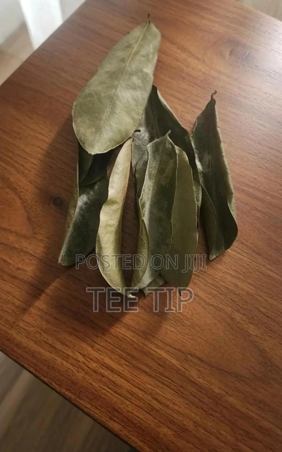 Soursop Leaves( Fresh and Dried)