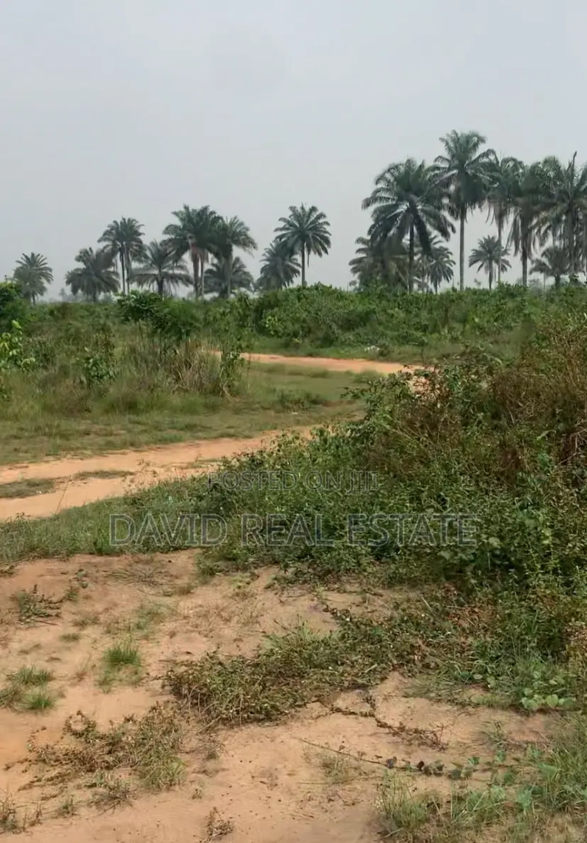 Buy Build Land for Sale – Off Eneka Link Road, Port Harcourt